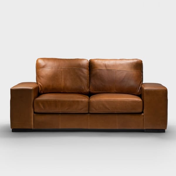 Full Grain Leather Couch