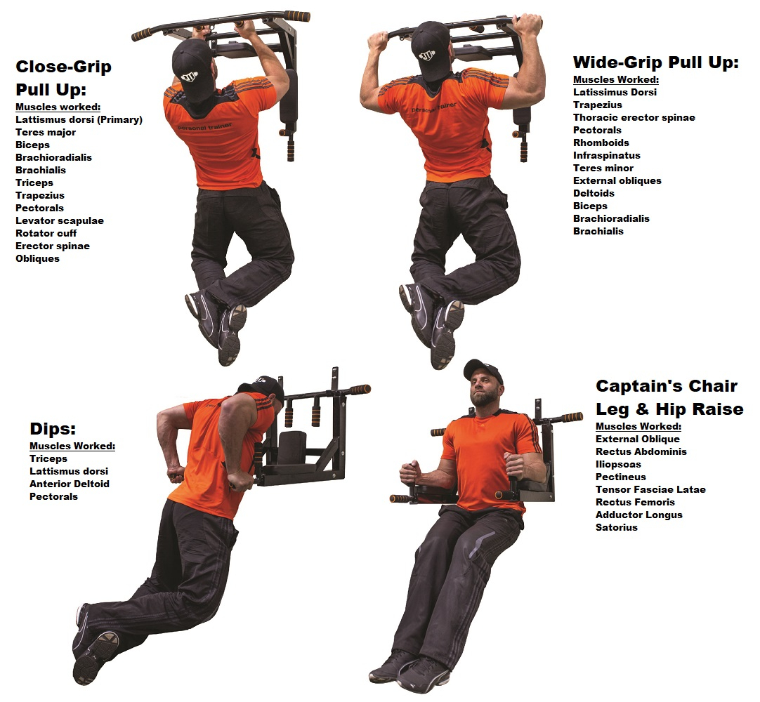 Close Chin Ups Muscles Worked Muscles Worked Pull Up Machine Gym