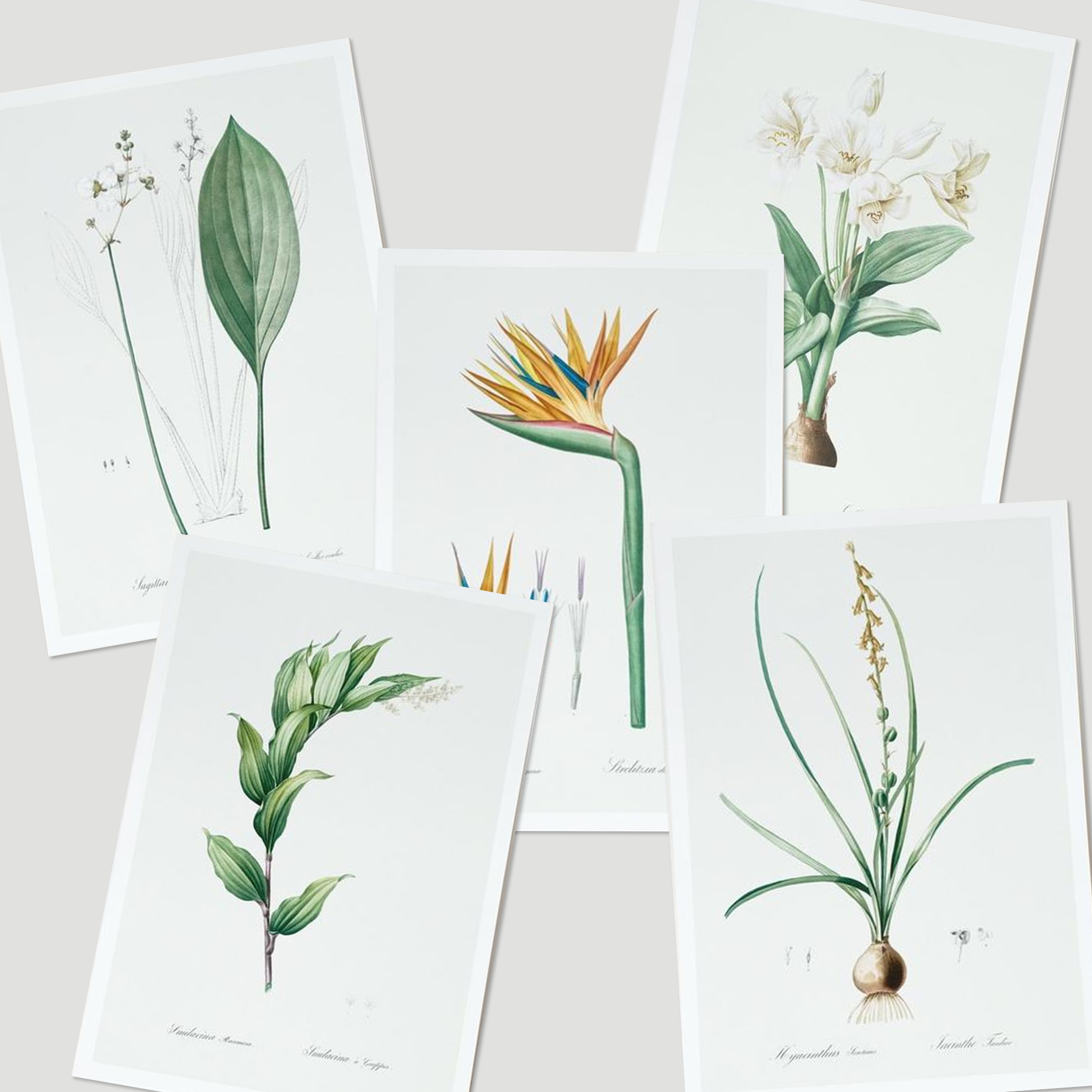 30% off on Pack of 2 Botanical Wall Art Prints