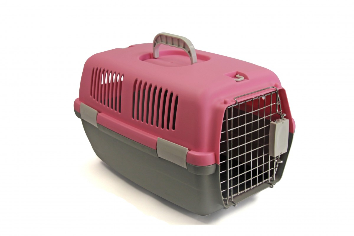 47 off on Pet Travel Case OneDayOnly
