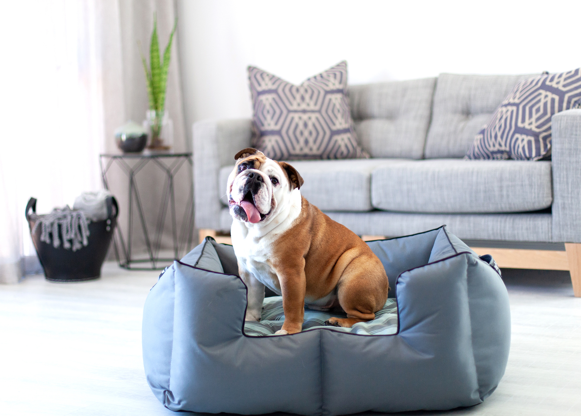 For reference purposes. Colour not available