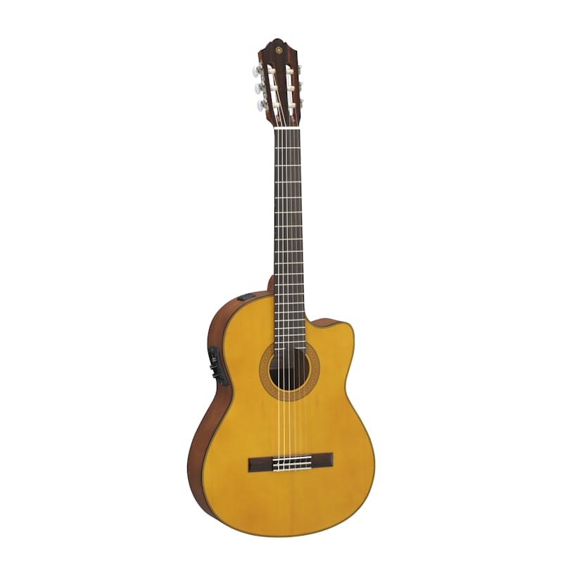 CGX122MSC Guitar