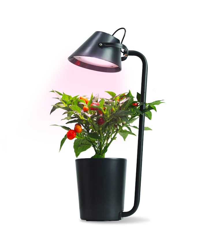 47% off on LED Indoor Plant Grow Light | OneDayOnly