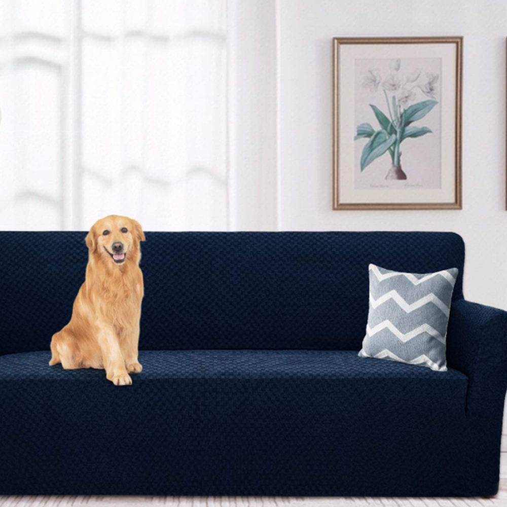 63% off on 2 Seater Stretchable Couch Cover | OneDayOnly