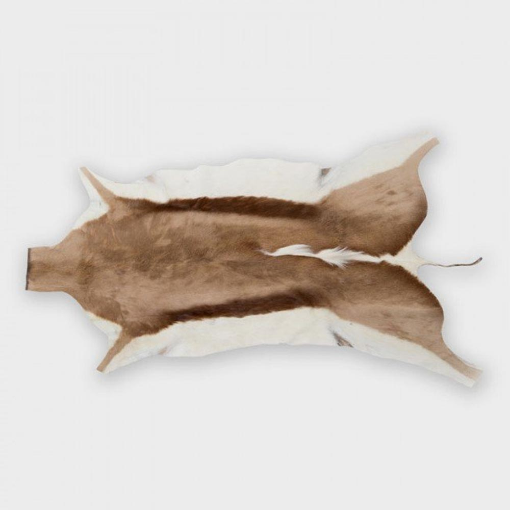 Quality Springbok Hide