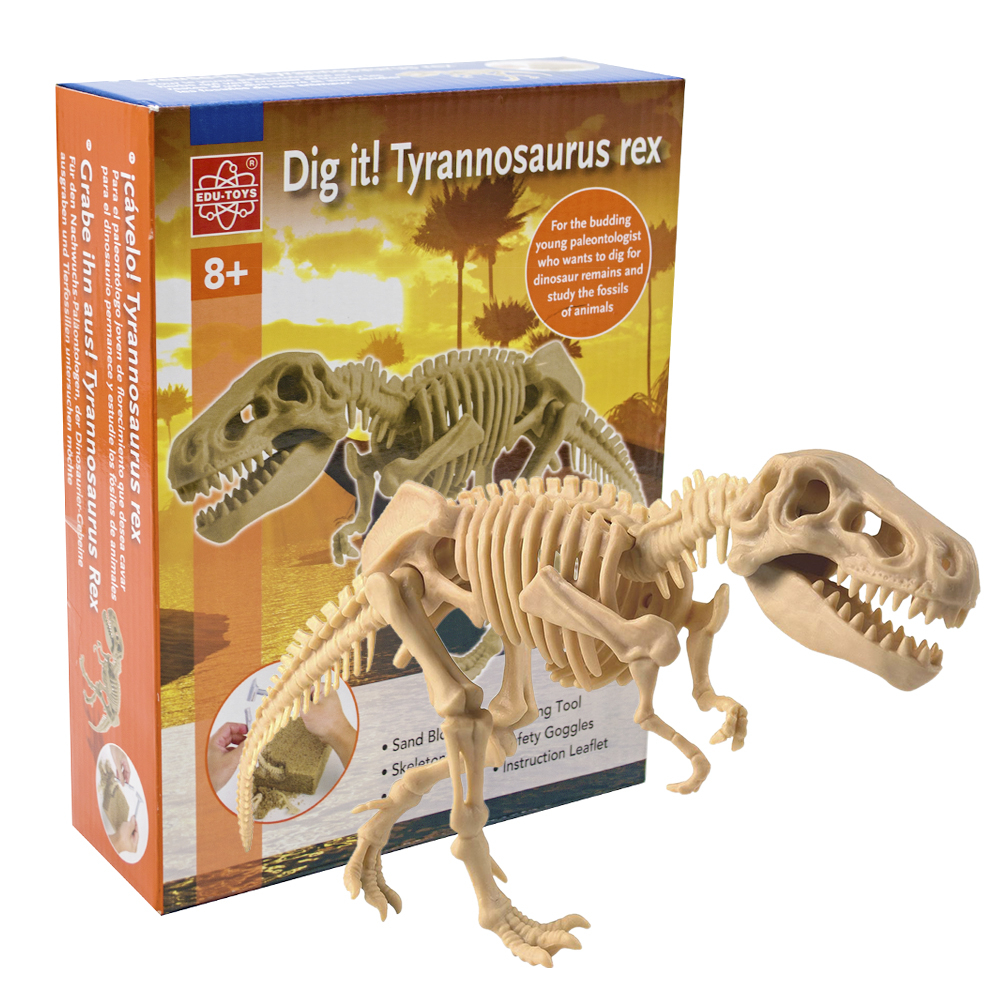 Young Excavators' Palaeontology Tools Set