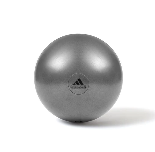 65cm Anti-burst Gym Ball