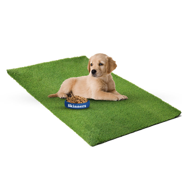 40 off on Mrs Pooch Puppy Potty Training Patch OneDayOnly