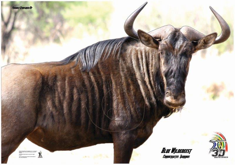Bluewildebeest