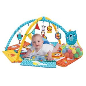 27 off on Activity Gym with Play Mat & Balls OneDayOnly