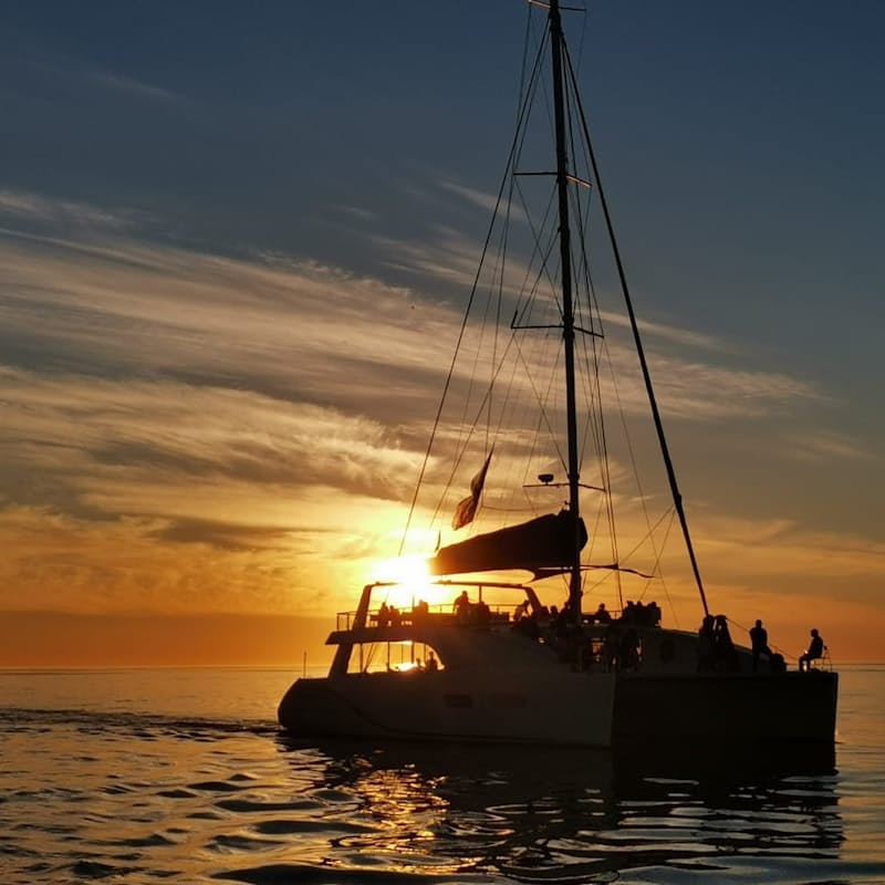 Cape Town Catamaran Sunset Cruise Per Person