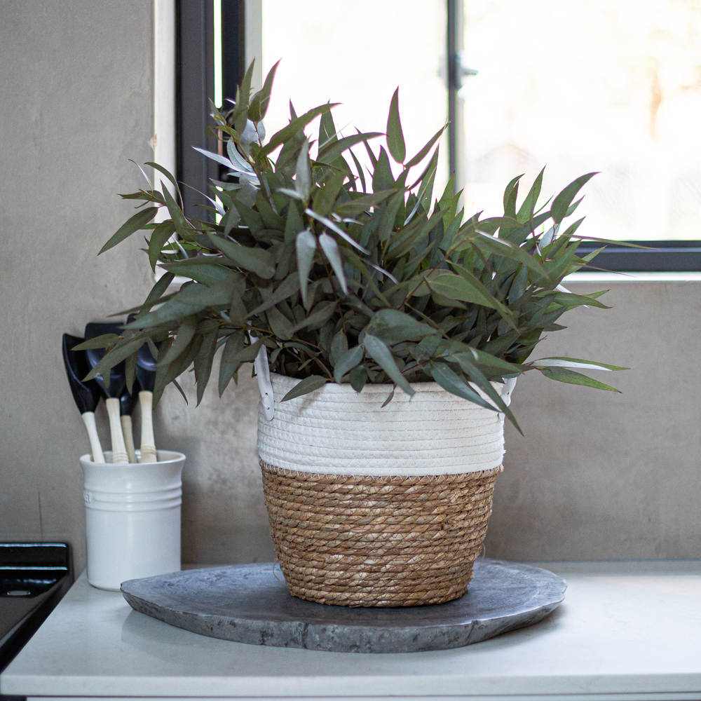 White Two-Tone with Leather Handles