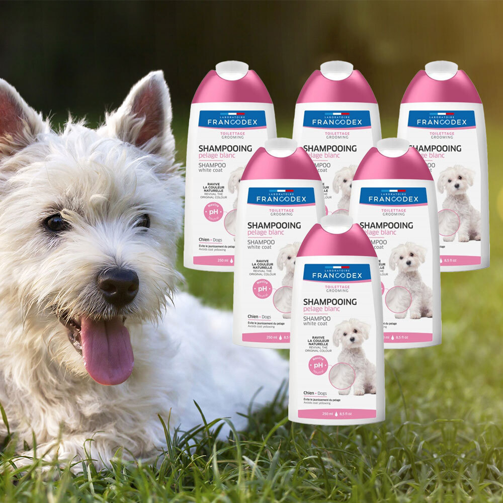 16 off on Dog Shampoo for White Coats OneDayOnly