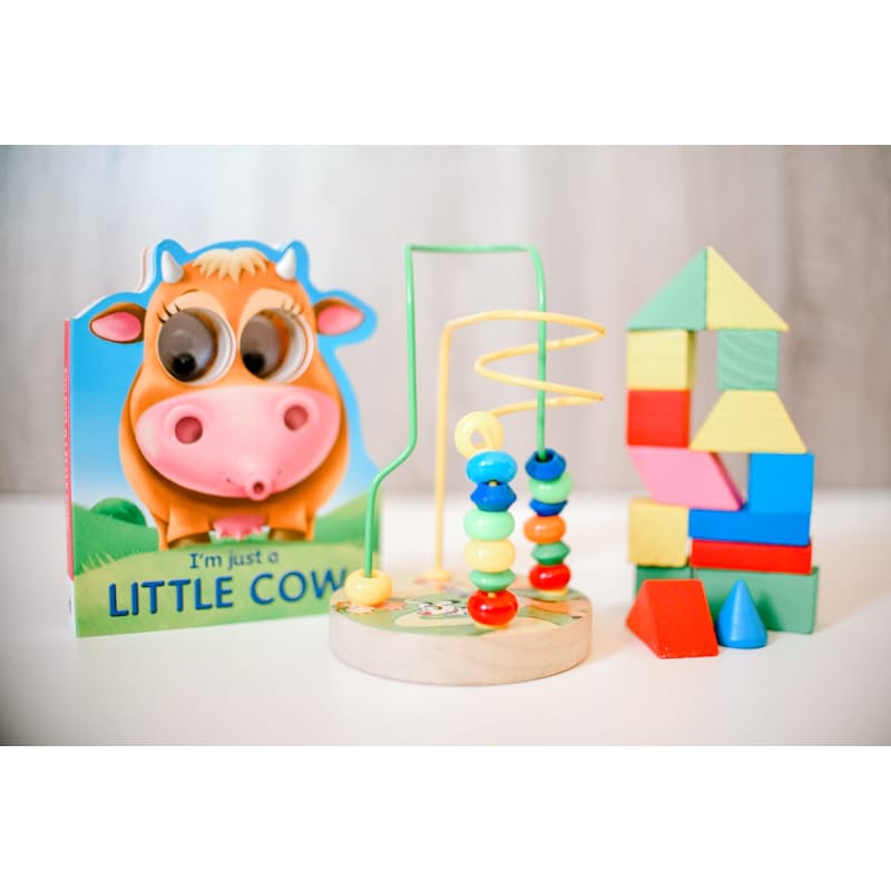 Cow eye book, maze, small building blocks