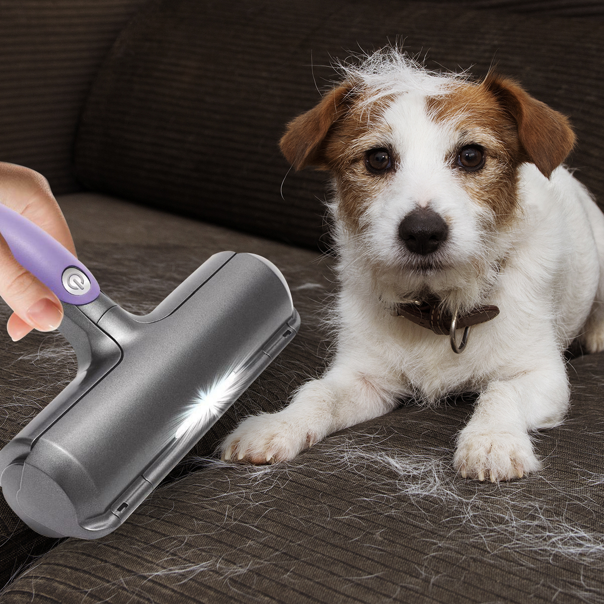 30 off on Fur Daddy Sonic Pet Hair Remover OneDayOnly