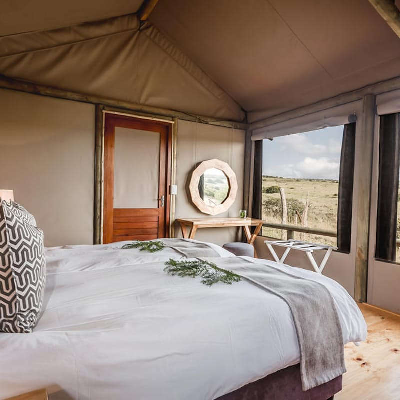 1-Night Stay at 4* Hlosi Lodge in a Family Suite or Family Safari Tent for up to 4 People Sharing