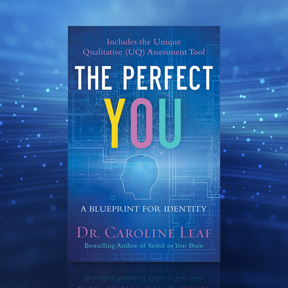 The Perfect You: A Blueprint For Identity (Paperback)