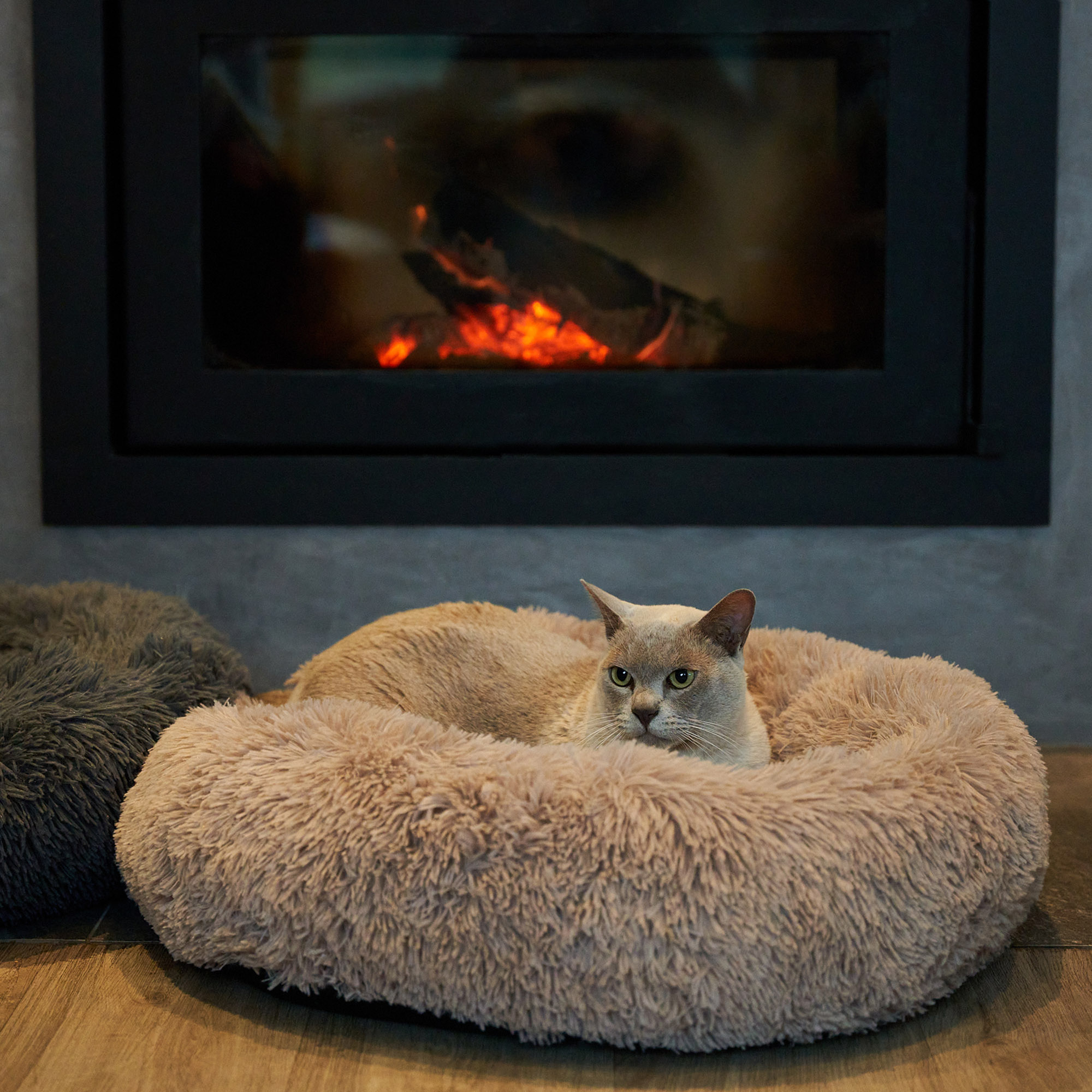 Not available in Grey