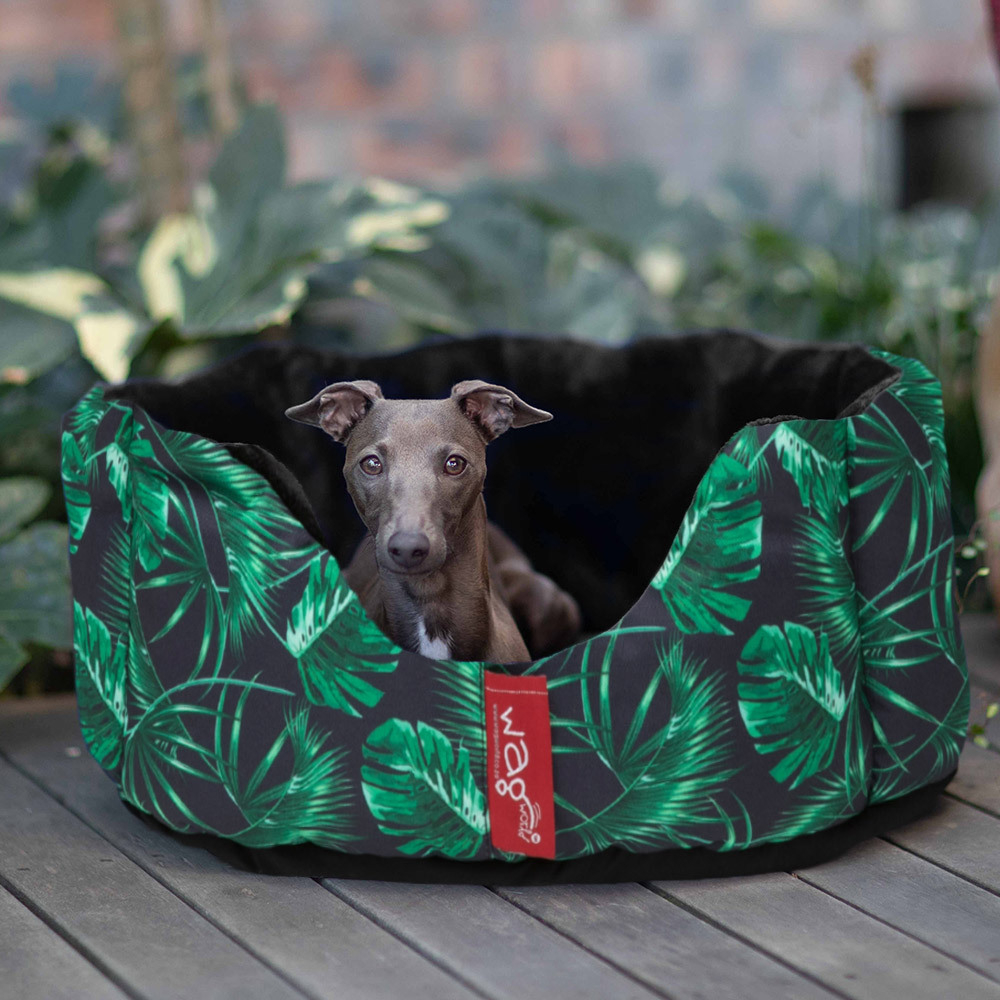 SA's best daily deals OneDayOnly