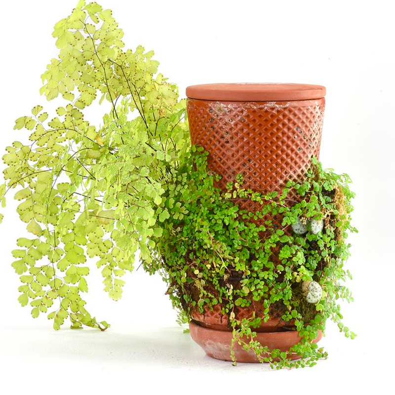 44% off on Vortex Hydroponic Terracotta Planter | OneDayOnly