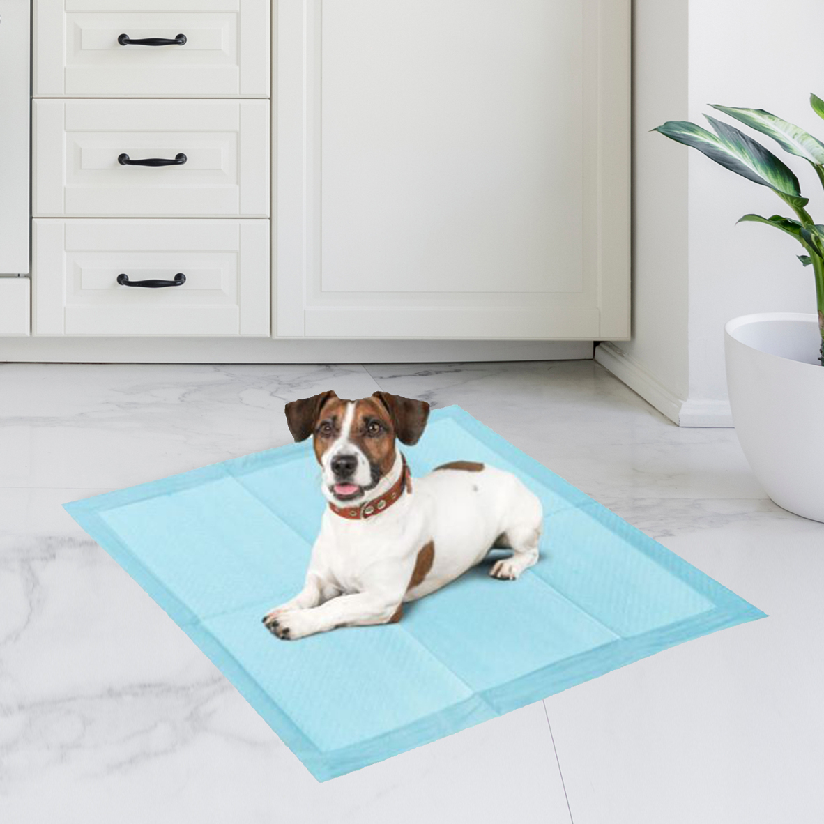 20 off on 60x EcoFriendly Puppy Training Pads OneDayOnly