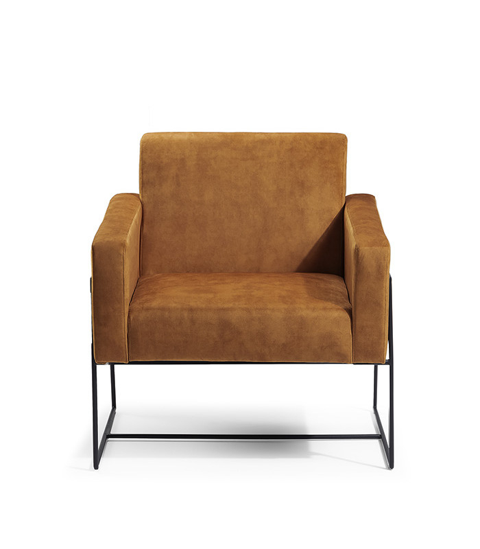 R600 off on Logan Contemporary Velvet Armchair OneDayOnly