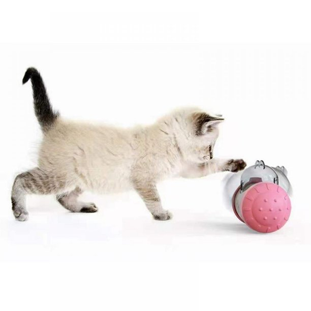 interactive pet toy ball