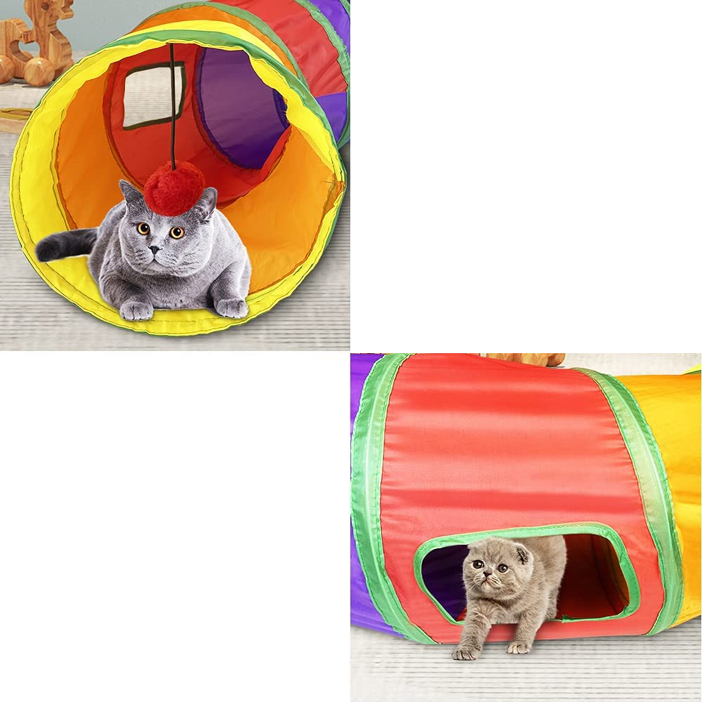 rainbow cat tunnel