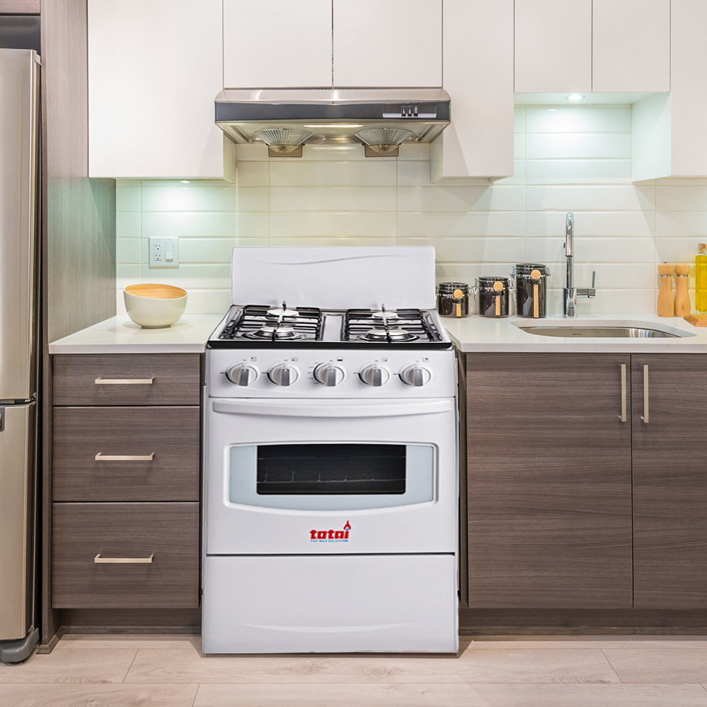 20 off on 4 Burner Gas Stove With Flame Failure Device OneDayOnly