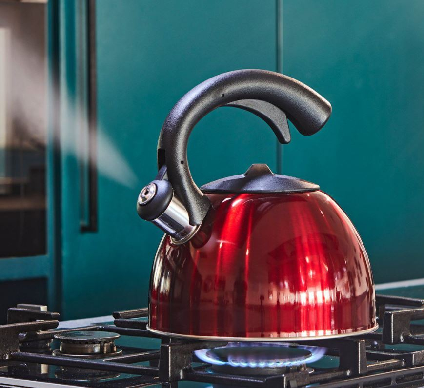 gretmol stainless steel kettle