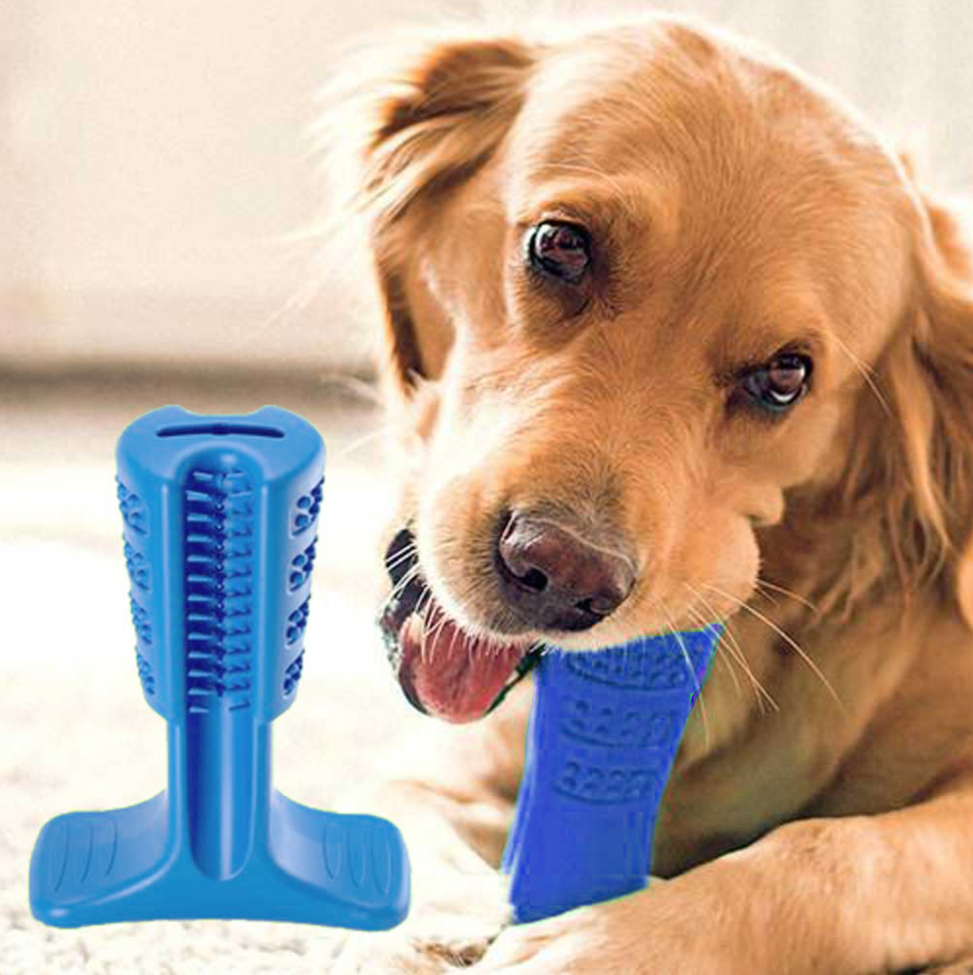 Toy Best Dog Toothbrushes Best Dog Toys For Toothpaste Pamlulu Dog