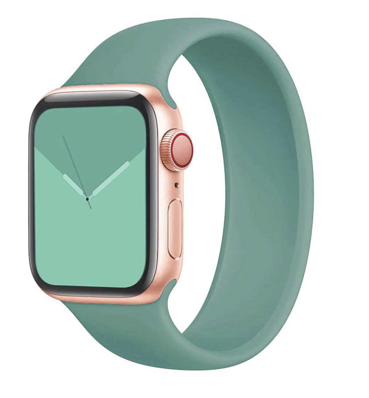 Cactus - Apple Watch Not Included