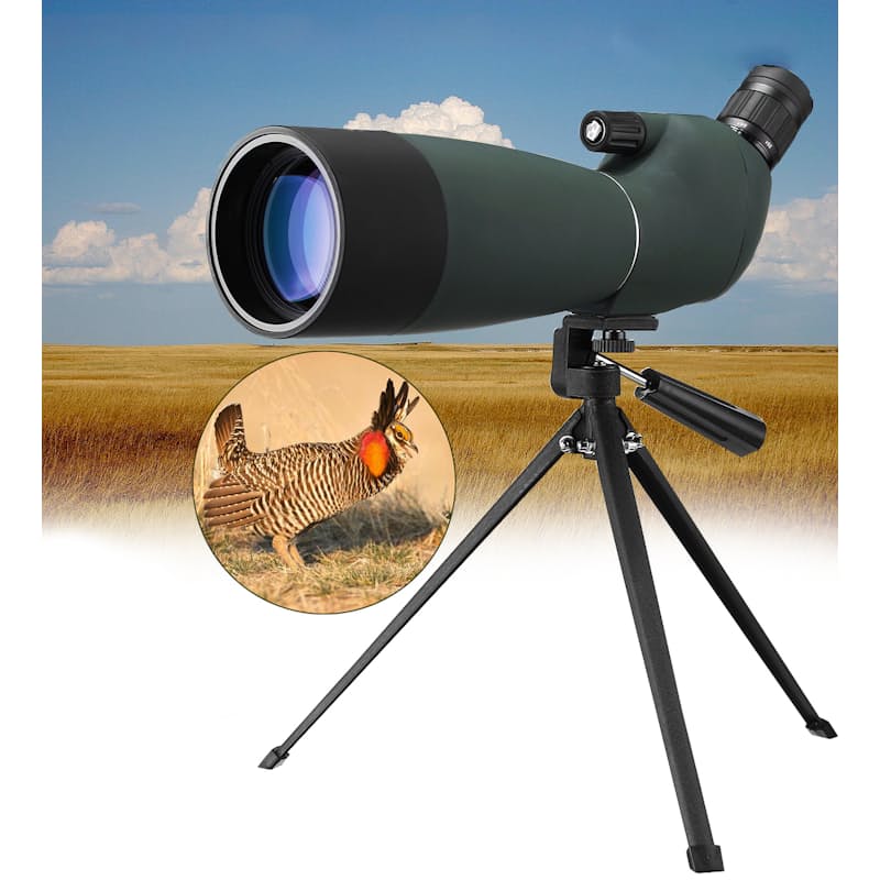 Target telescope 2024