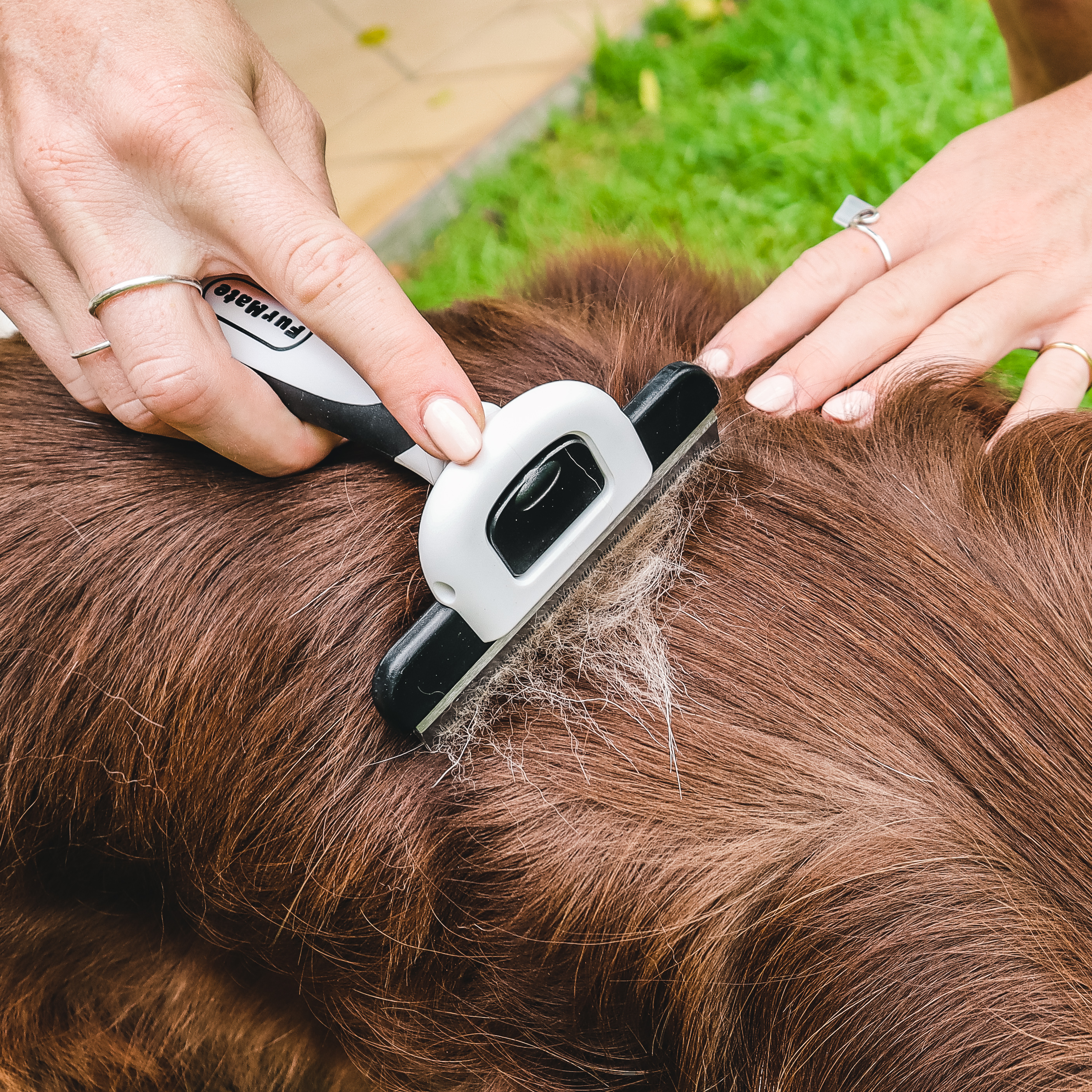 38 off on 2x Pet Deshedding Grooming Tools OneDayOnly