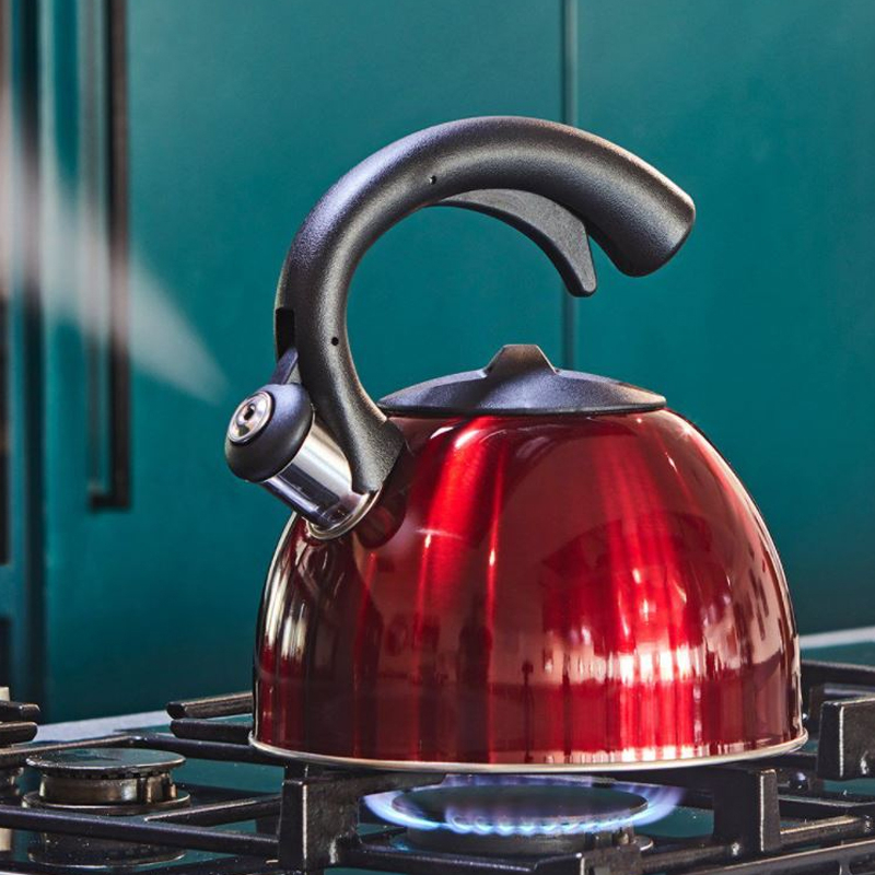 42 off on 3L Stovetop Whistle Kettle OneDayOnly