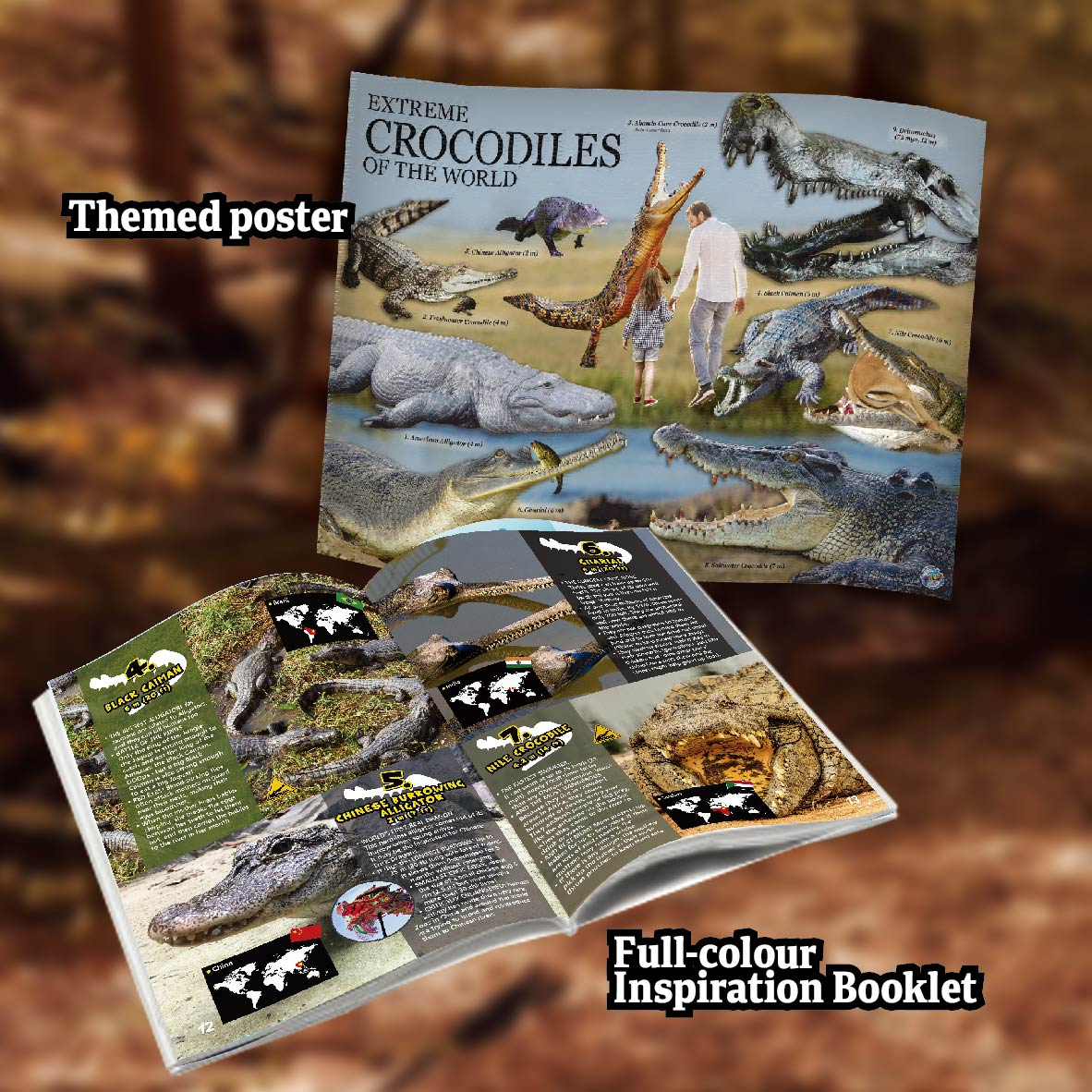 43% off on Crocodile Environmental Science Kit | OneDayOnly