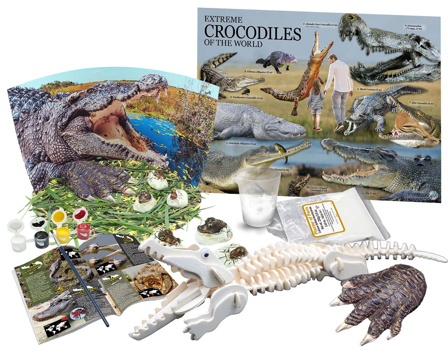 43% off on Crocodile Environmental Science Kit | OneDayOnly