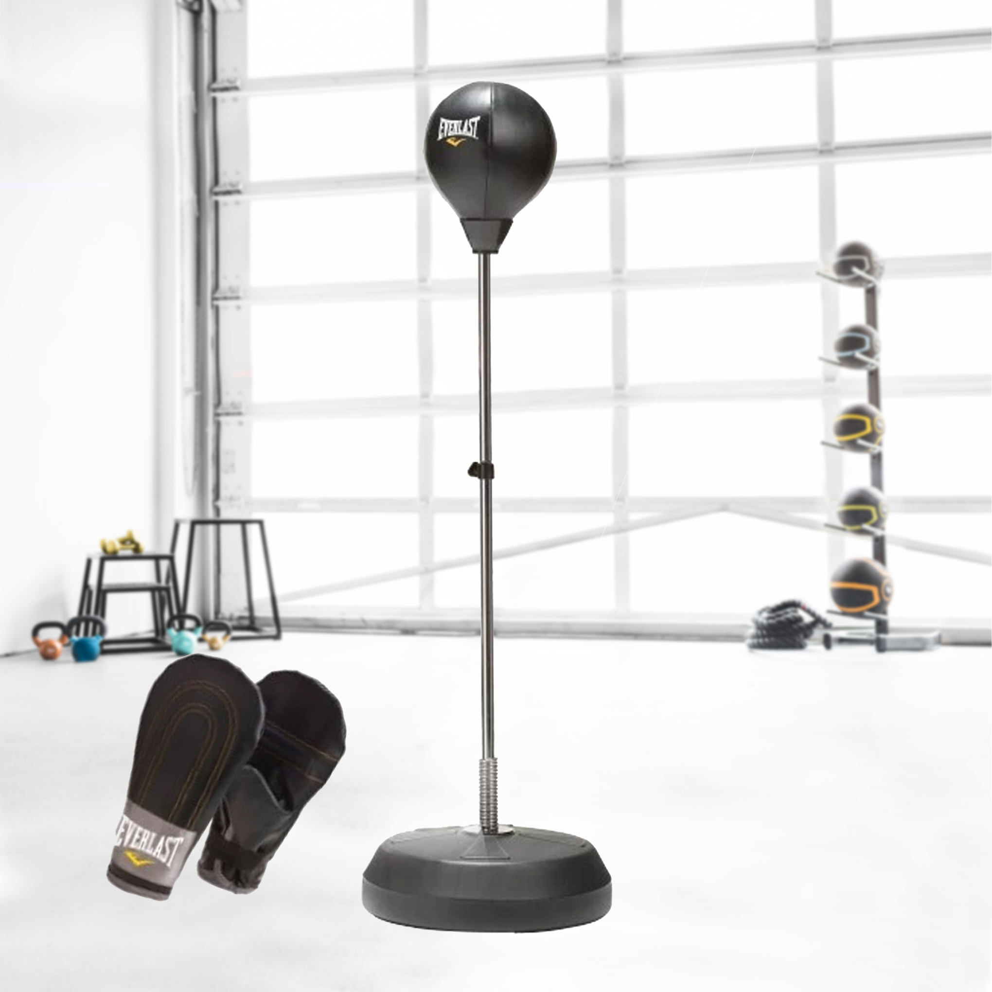 38 off on Everlast Free Standing Speed Bag Kit OneDayOnly