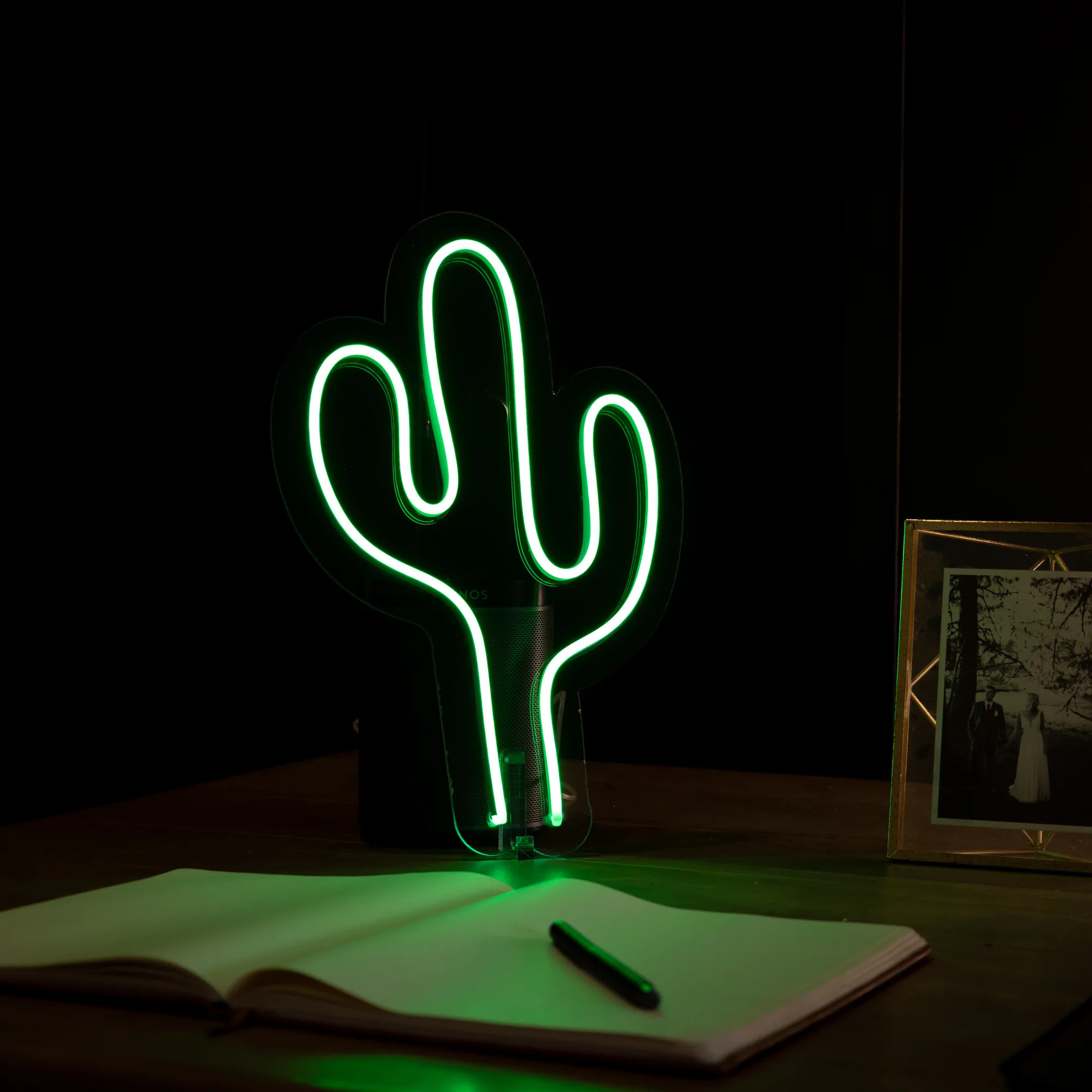 light up cactus