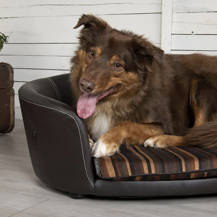 32 off on Regent Faux Leather Pet Sofa OneDayOnly