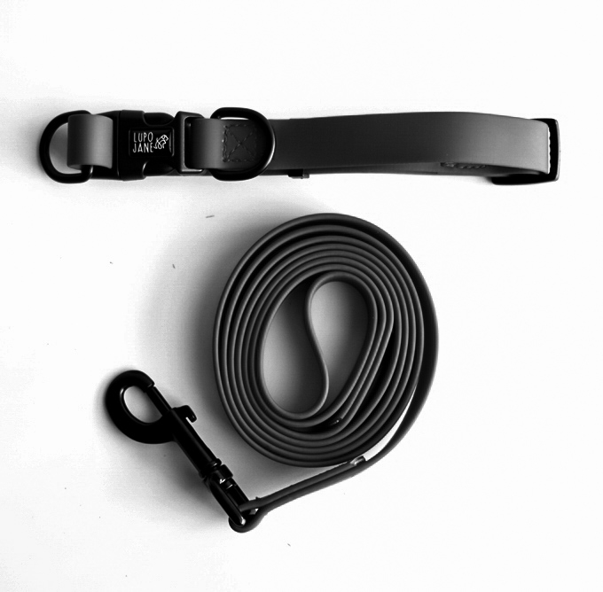 34 off on Waterproof Dog Collar & Leash Set OneDayOnly