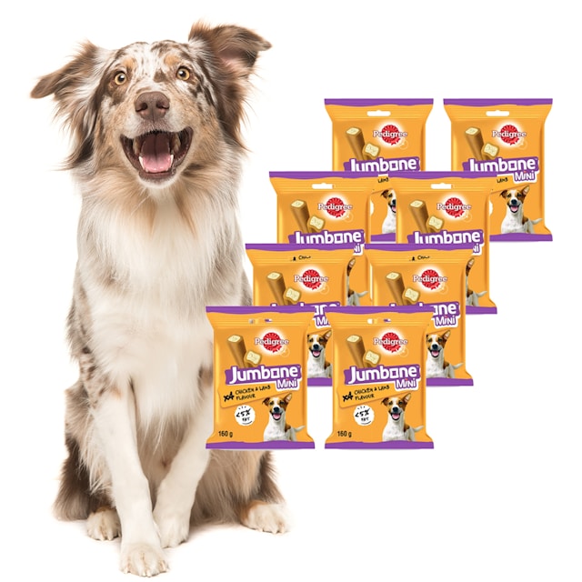 Pedigree 8x Jumbone Dog Treats OneDayOnly