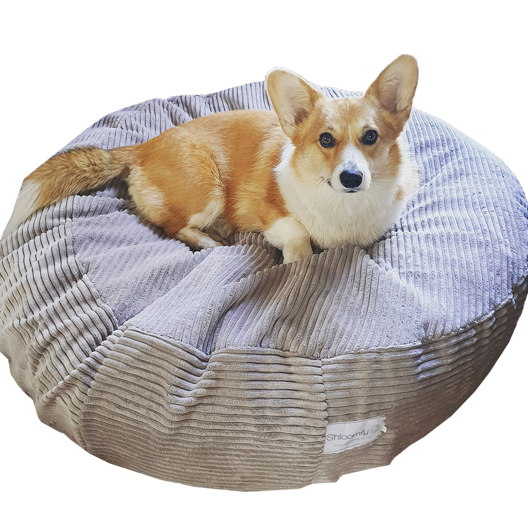 23 off on Corduroy Machine Washable Pet Bed OneDayOnly
