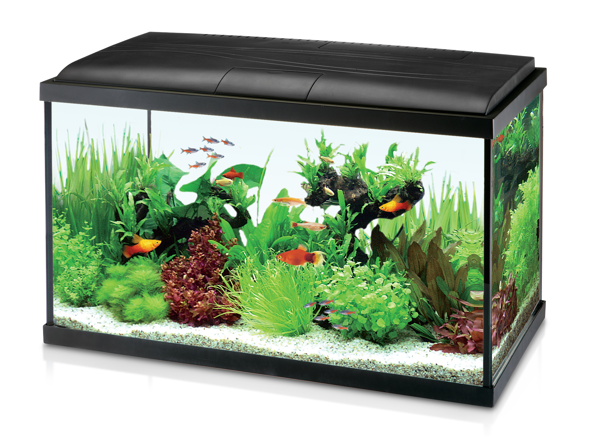 Accessories not included