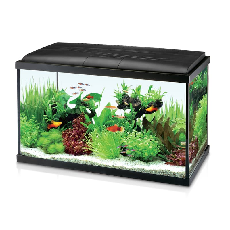 Accessories not included