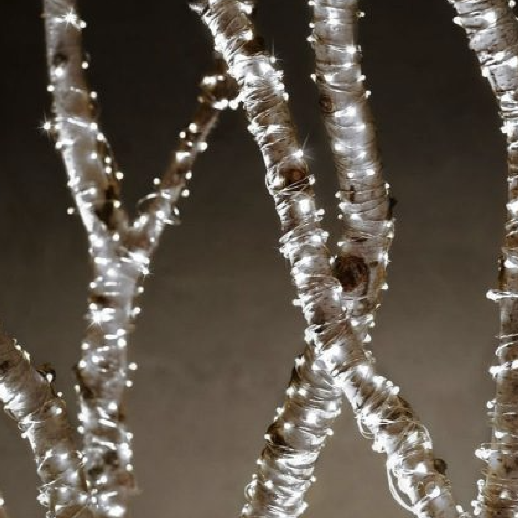 solar string lights with white cord