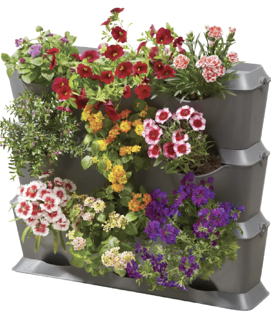 Flowers not included