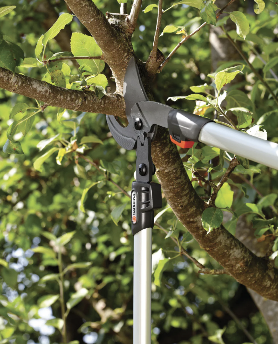 36 off on Gardena Pruning Lopper OneDayOnly