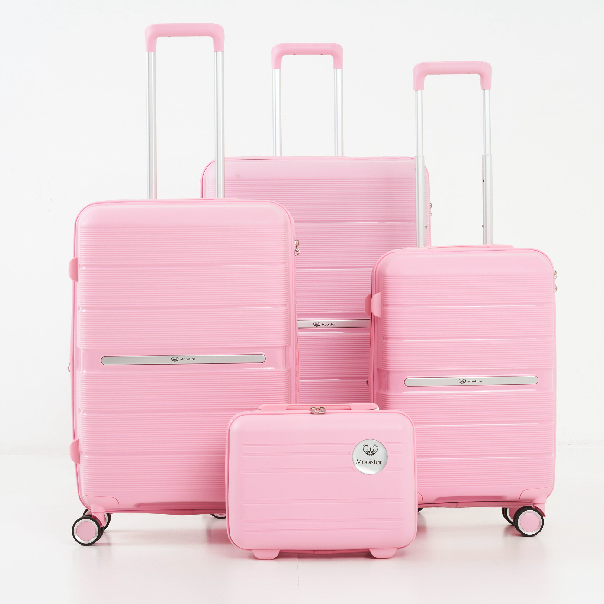 one day only luggage