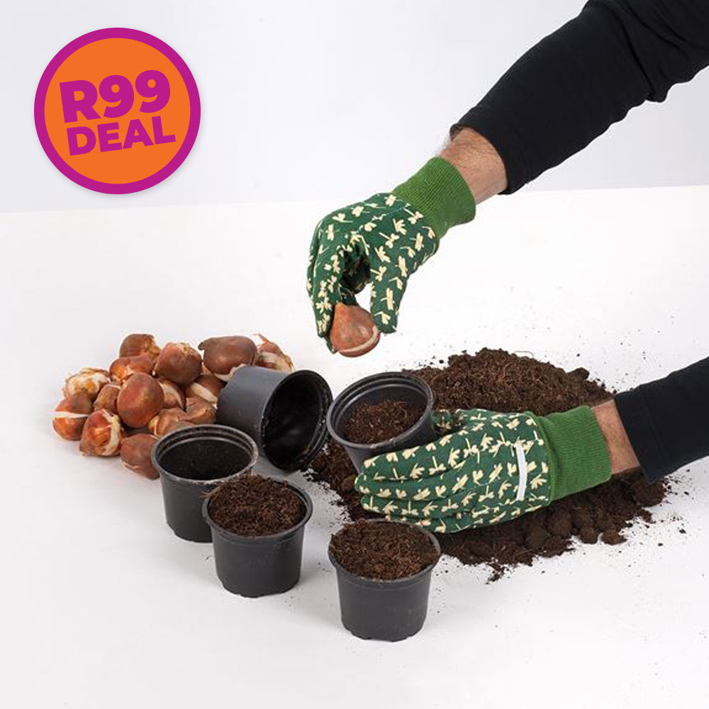 home bargains gardening gloves